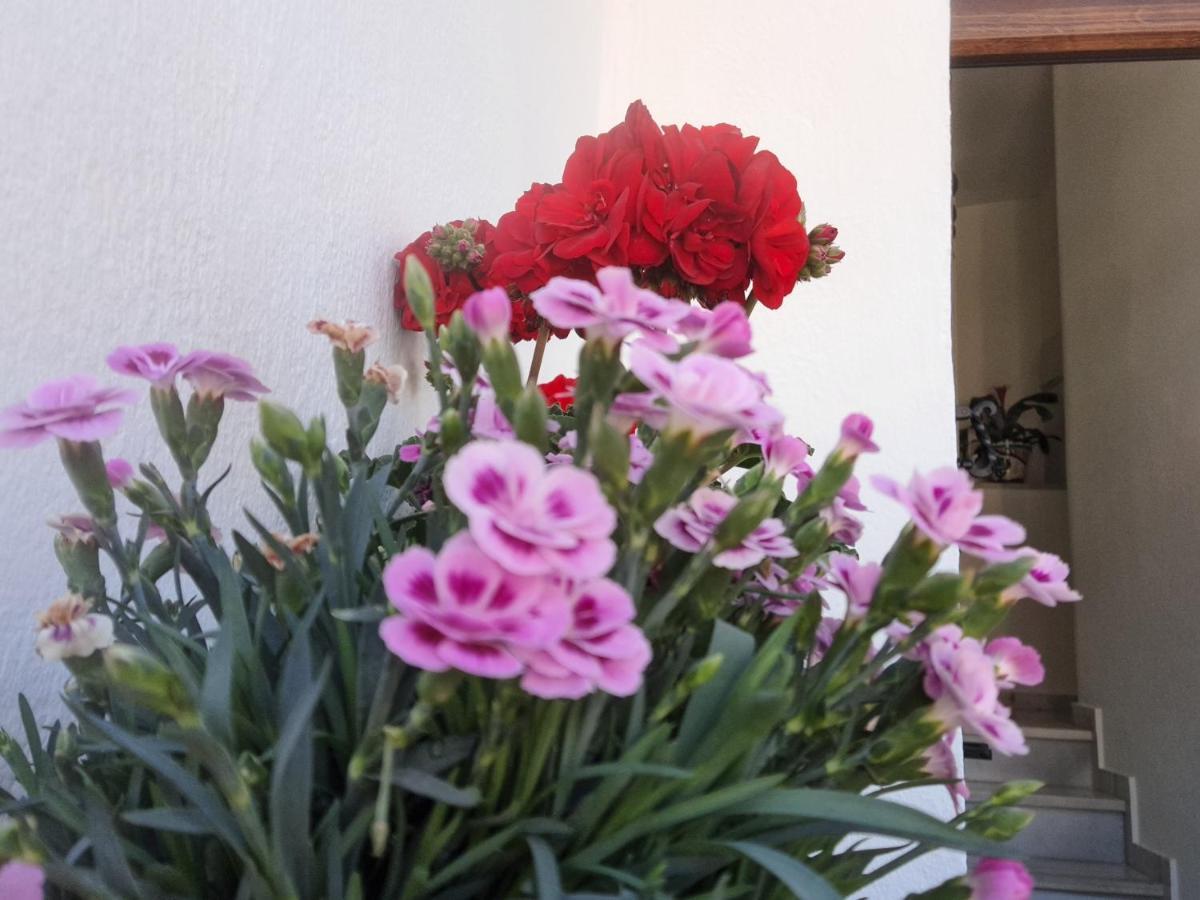 Apartamento "La Vina" Málaga Exterior foto